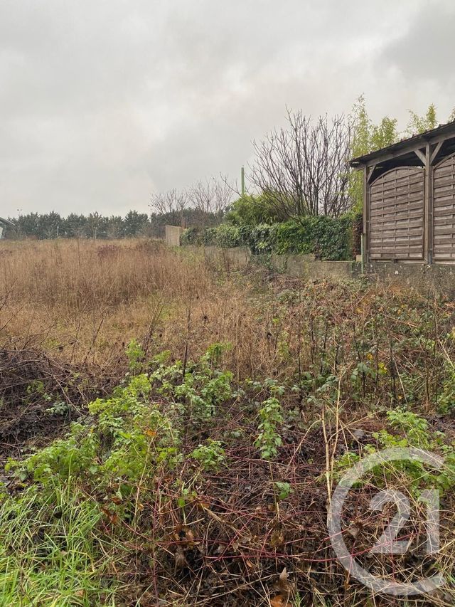 Afficher la photo en grand terrain à vendre - 525.0 m2 - LE THILLAY - 95 - ILE-DE-FRANCE - Century 21 Al Immobilier